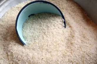 Autosuffisance rizicole Togo