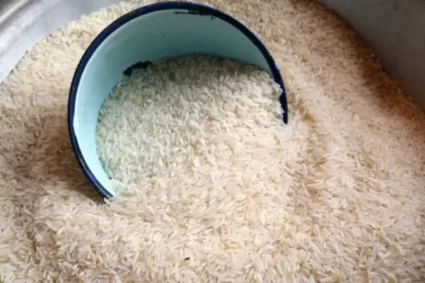 Autosuffisance rizicole Togo