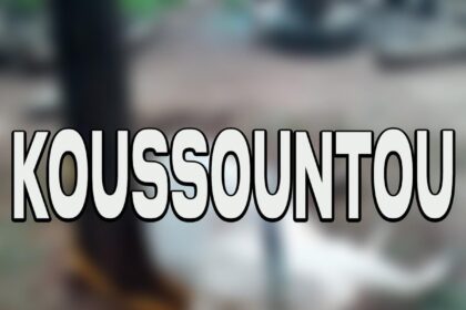 appel d'offres équipements médicaux Région Centrale Togo 2026