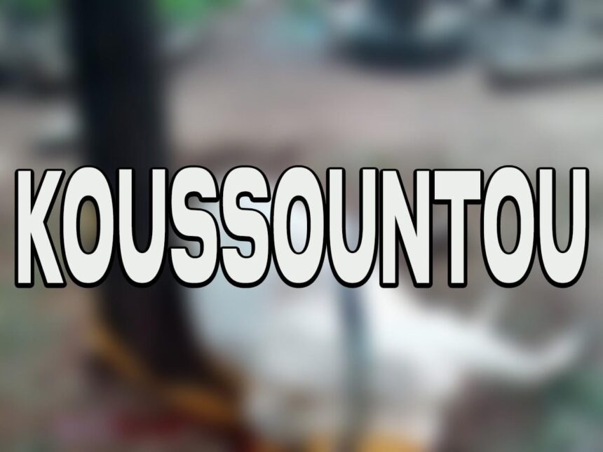 appel d'offres équipements médicaux Région Centrale Togo 2026