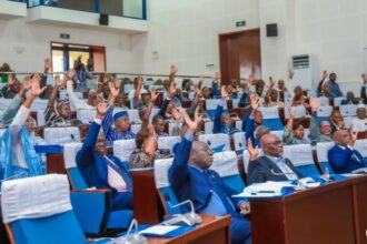 Lois Assemblée nationale Togo 2026