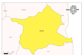 internationalisation communes togolaises projet coopération décentralisée 2026